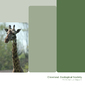 Annual Report 2010